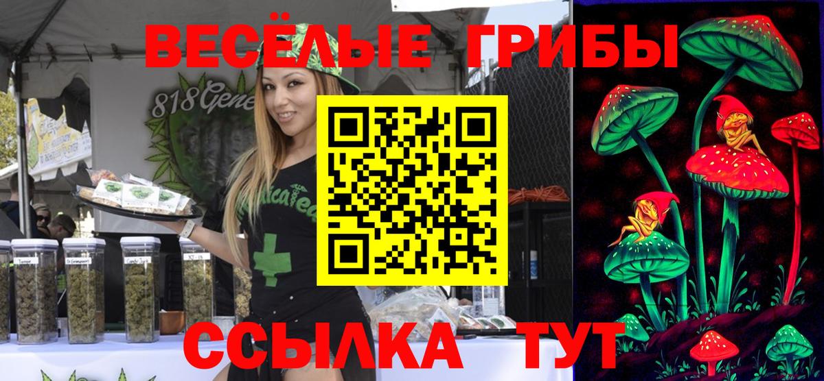 Псилоцибиновые грибы мухоморы Карпинск